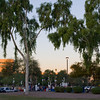mapphotography > Alana's Champs 5K 2008 photo